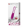Виброяйцо с дистанционным управлением PrettyLove - DAVE 12 Functions USB, BI-014237