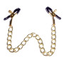 Зажимы для сосков Fetish Boss Series - №16 Exclusive Nipple Clamps, BS6100046