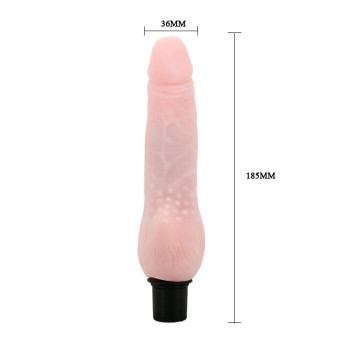 Вибратор "The Realistic Cock" BW-027002 1002S
