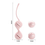 Вагінальні кульки Pretty Love Kegel BALL I BI-014490-2