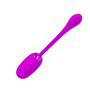 ПЕРЕЗАРЯДЖАЮЧЕ ВІБРОЯЙЦЕ PRETTY LOVE «JULIUS", BI-014653