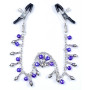 Зажимы для сосков Fetish Boss Series - №2 Exclusive Nipple Clamps, BS6100010