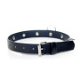 Ошейник из искуственной кожи с шипами Fetish Boss Series - Collar with studs, BS3300096