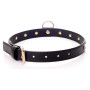 Нашийник зі штучної шкіри з кристалами Fetish Boss Series - Collar Gold Crystal, BS3300116