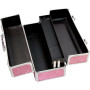 Кейс для зберігання секс-іграшок BMS Factory - Large Lokable Vibrator Case Pink